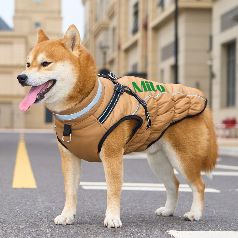 Personalized Pet Winter Warm Windproof Puffer Night-reflective suspender Jacket | BKPet266