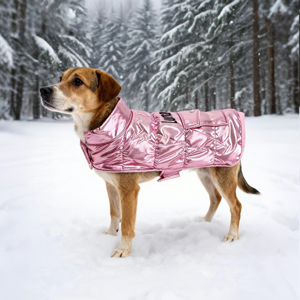 Personalized Pet Winter Warm Windproof Puffer Jacket | BKPet267