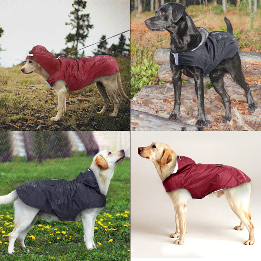 Personalized Pets Waterproof and Reflective Raincoat | BKPet270