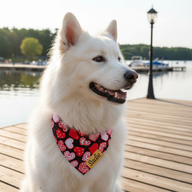 Personalized Leather Patch Valentine's Day Pet Bandana | BKPet289