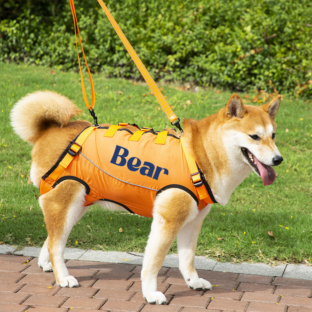 Personalized Adjustable Pet Lifting Harness Breathable Full Body Support | BKPet309