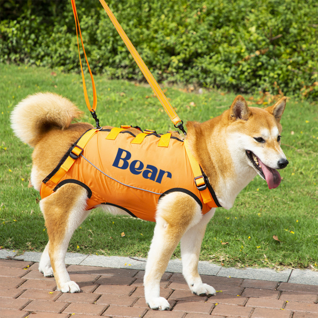 Personalized Adjustable Pet Lifting Harness Breathable Full Body Support | BKPet309