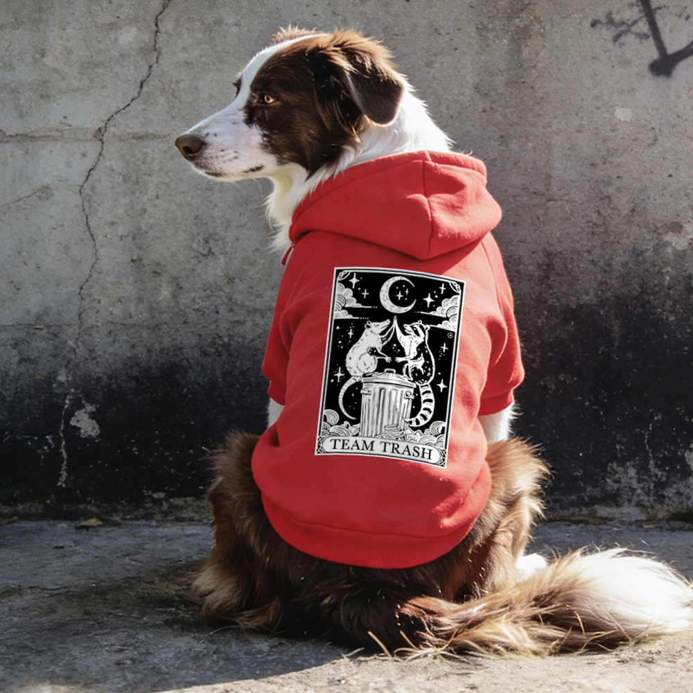 TEAM TRASH Puppy Hoodie | BKPet322