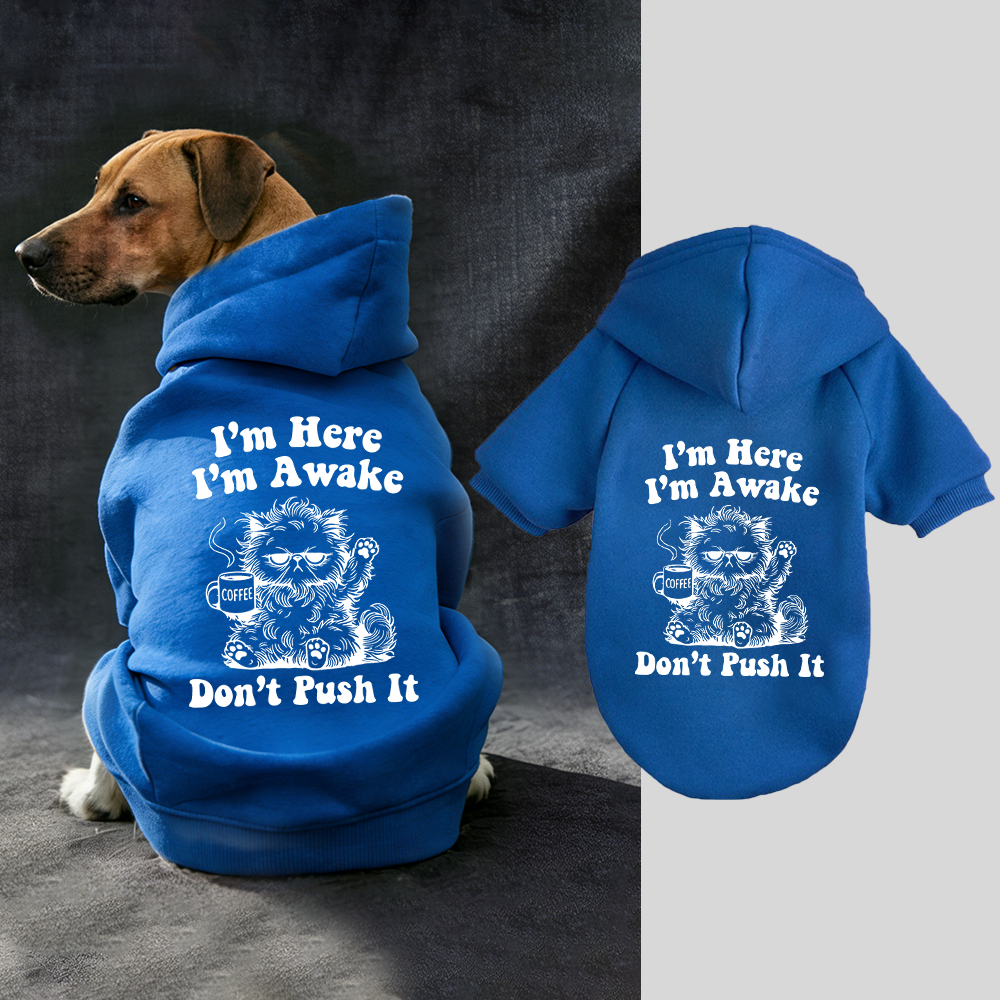 I'M HERE I'M AWAKE DON'T PUSH IT Puppy Hoodie | BKPet328