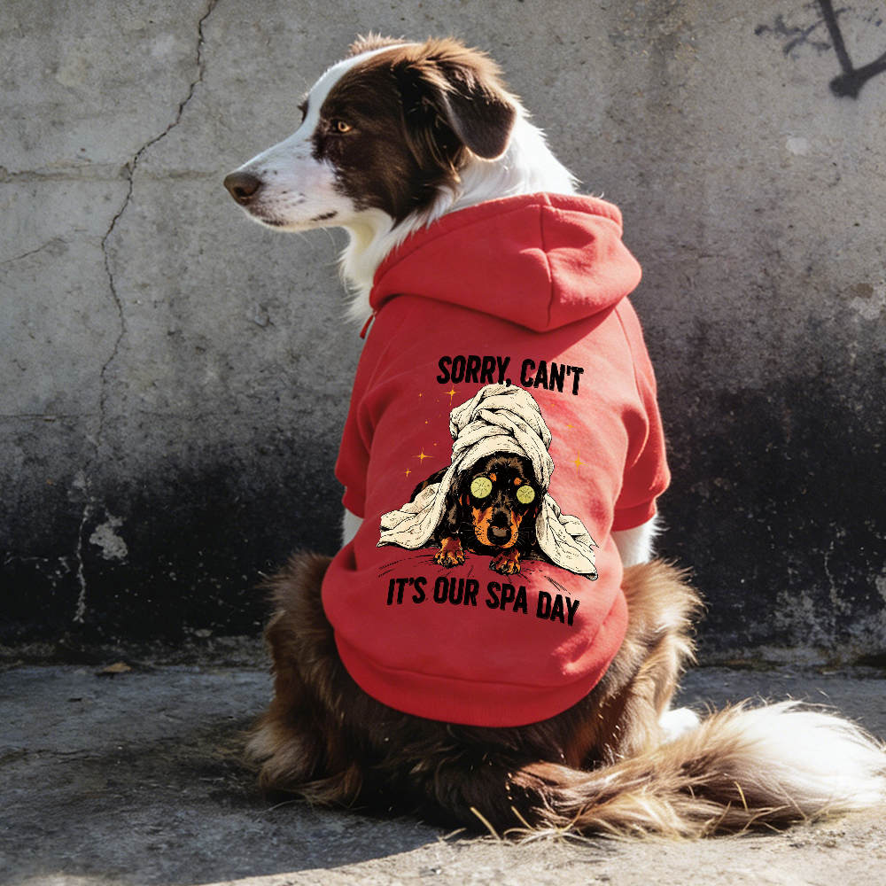 IT'S OUR SPA DAY Puppy Hoodie | BKPet339