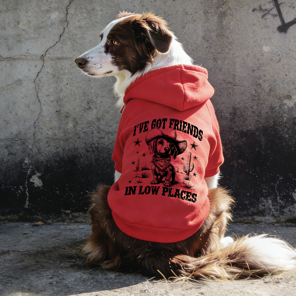 I'VE GOT FRIENDS Puppy Hoodie | BKPet340