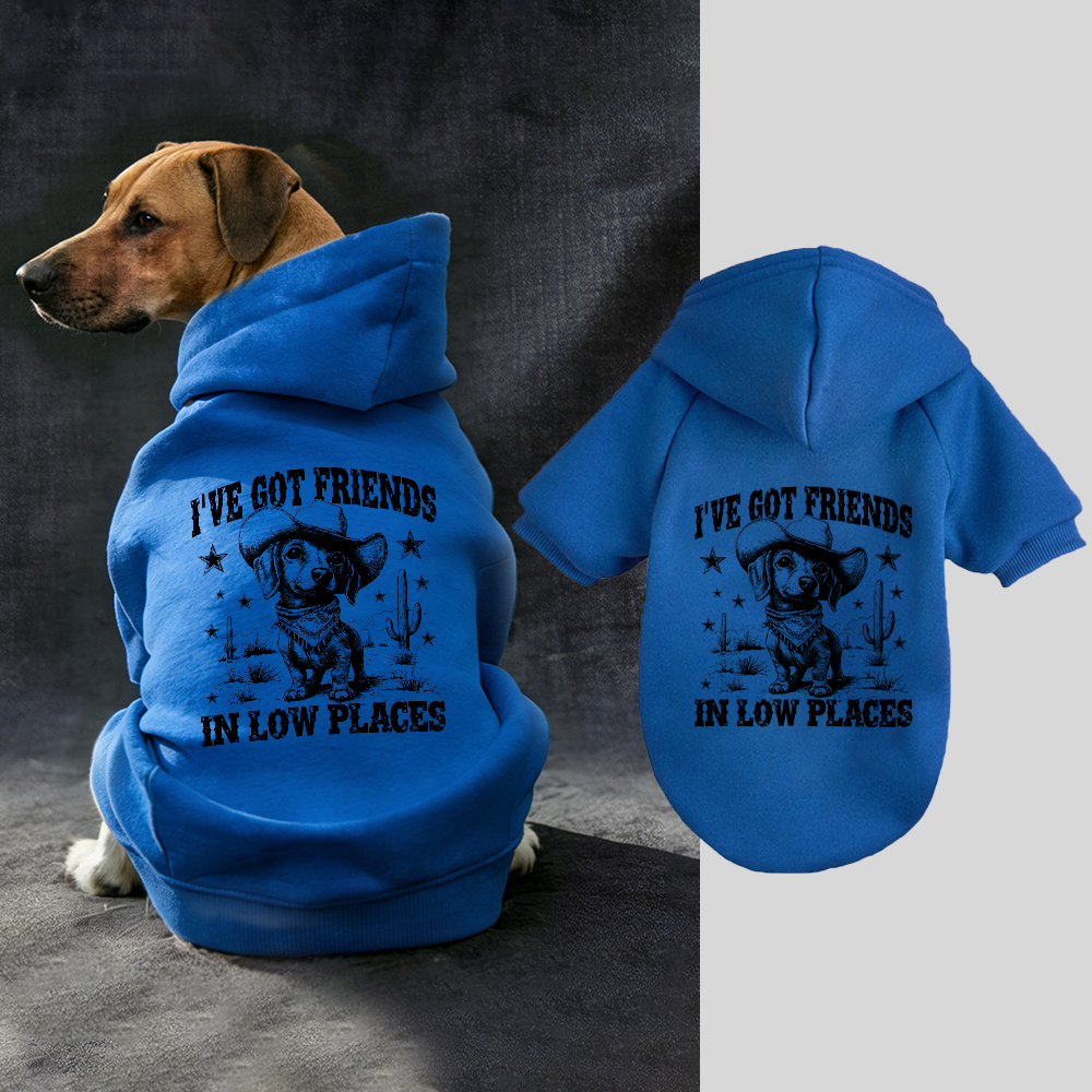 I'VE GOT FRIENDS Puppy Hoodie | BKPet340