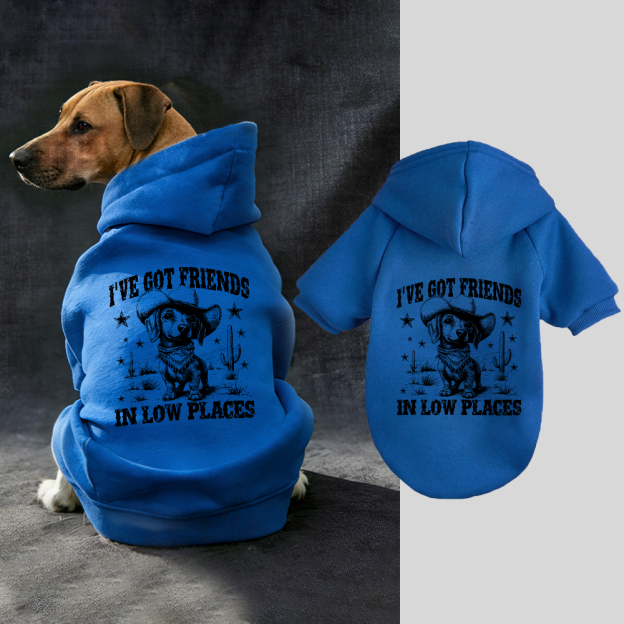 I'VE GOT FRIENDS Puppy Hoodie | BKPet340