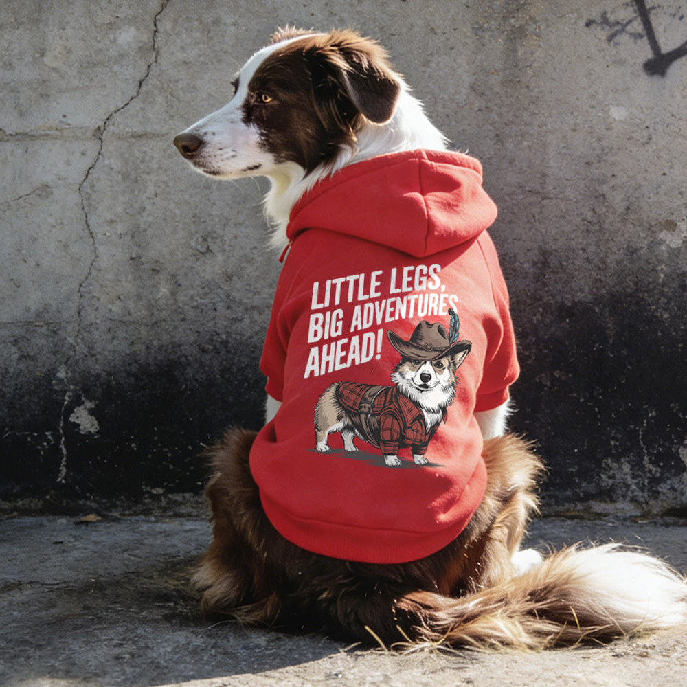 LITTLE LEGS BIG ADVENTURES AHEAD Puppy Hoodie | BKPet341