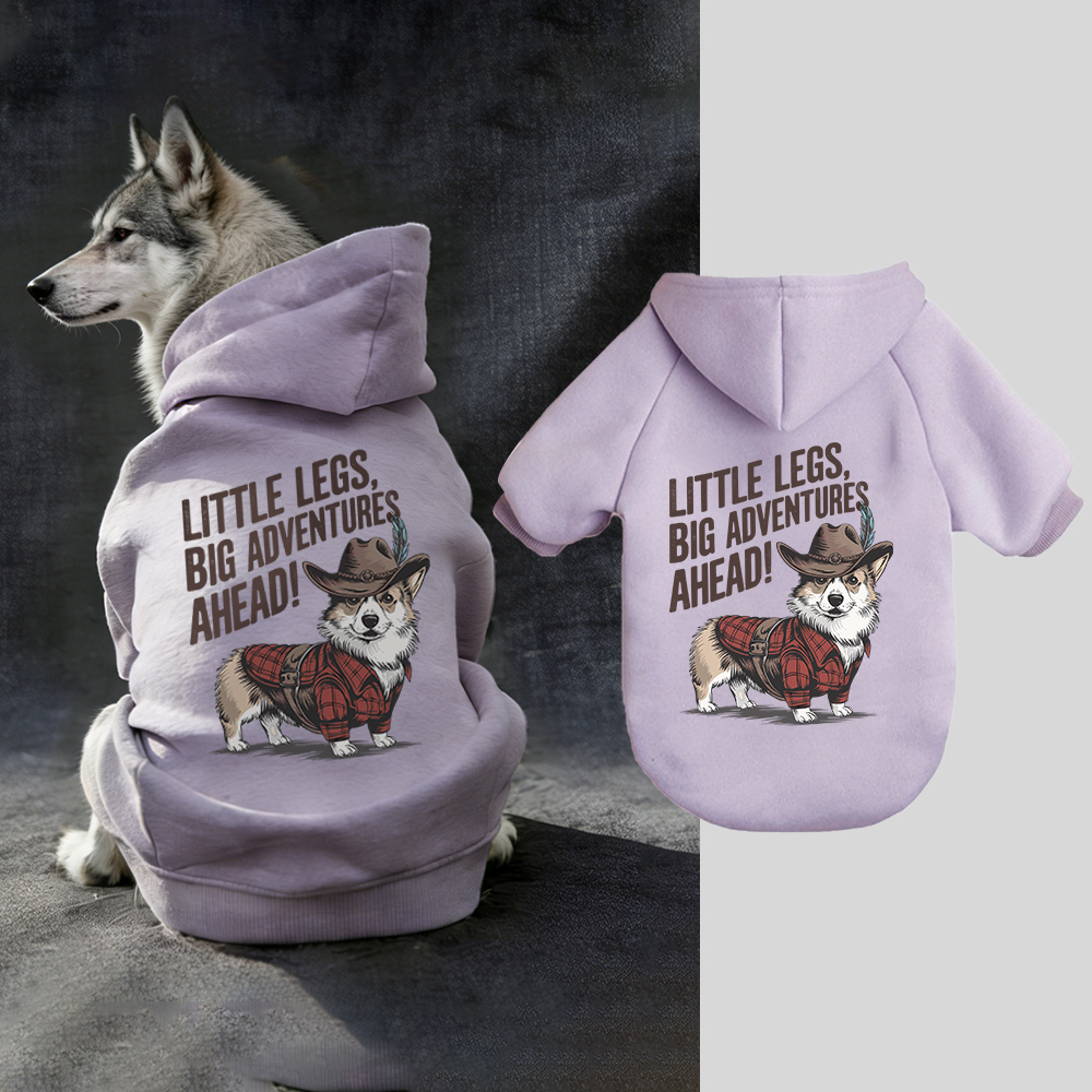 LITTLE LEGS BIG ADVENTURES AHEAD Puppy Hoodie | BKPet341