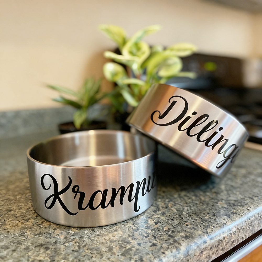 Personalized Pet Stainless Steel Anti-slip Thickened Food Bowl | BKPet369