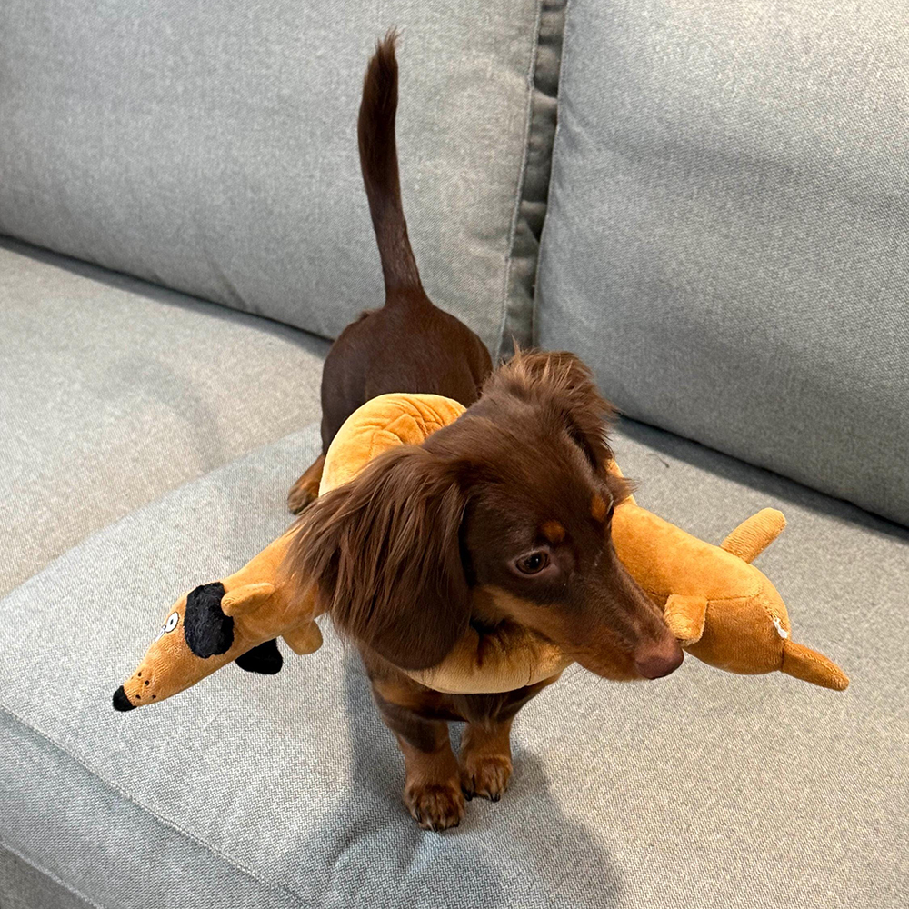 Plush Pretzel Dachshund squeaky Dog Toys | BKPet383