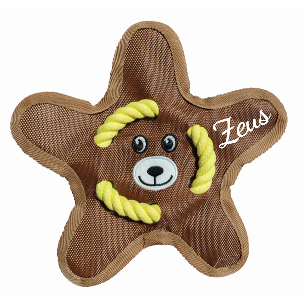 Personalized Star Flying Disc Squeaky Dog Toy | BKPet386