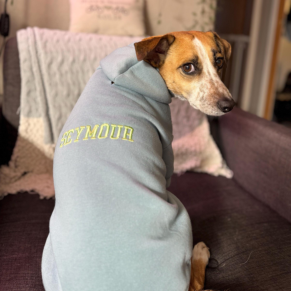 Personalized Embroidery Warm Soft Large Size Puppy Hoodie | BKPet362