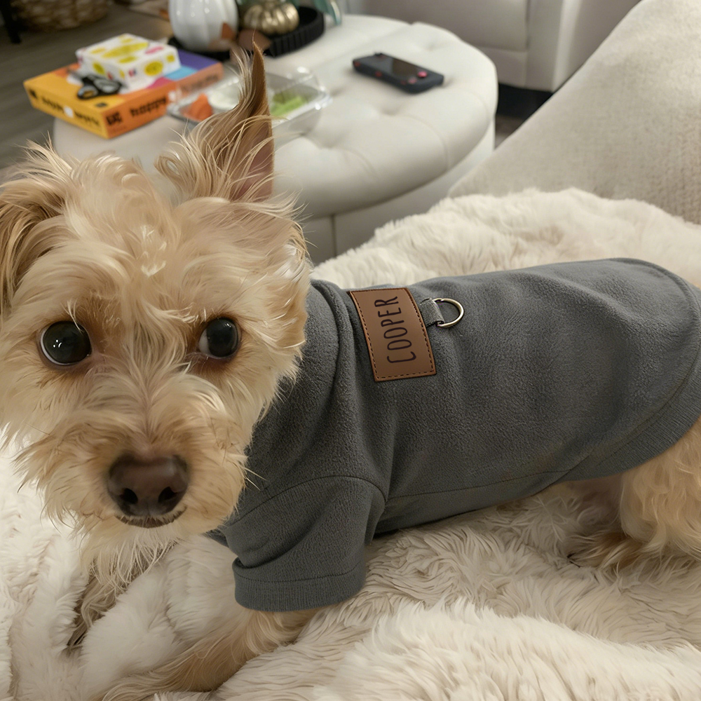 Personalized Leather Patch Pets Color Sweatshirts | BKPet91