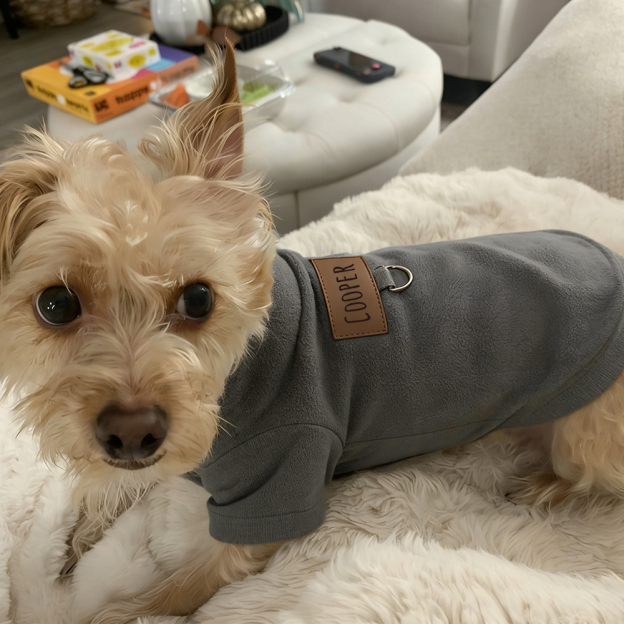 Personalized Leather Patch Pets Color Sweatshirts | BKPet91