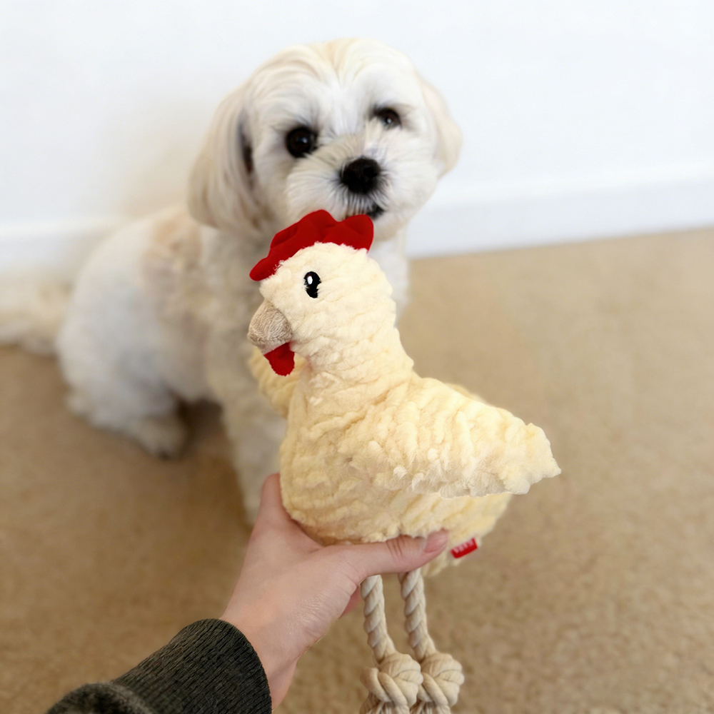 Handmade Pet Squeaky Interactive Chew Toy | BKPet396