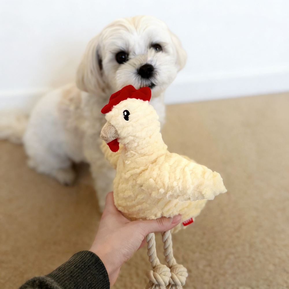 Handmade Pet Squeaky Interactive Chew Toy | BKPet396