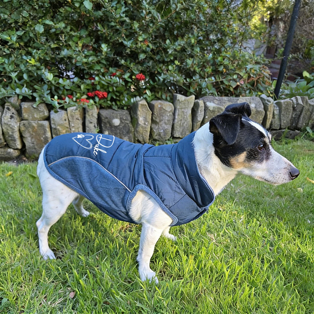 Personalized Pet Large Size Winter Warm Puffer Vest | BKPet404