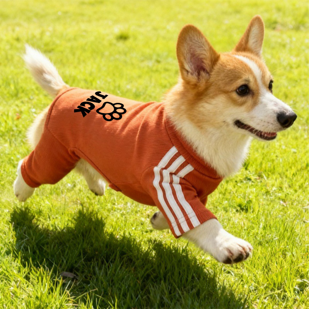 Personalized Pet Soft Striped Long Sleeves Sweatshirt | BKPet406