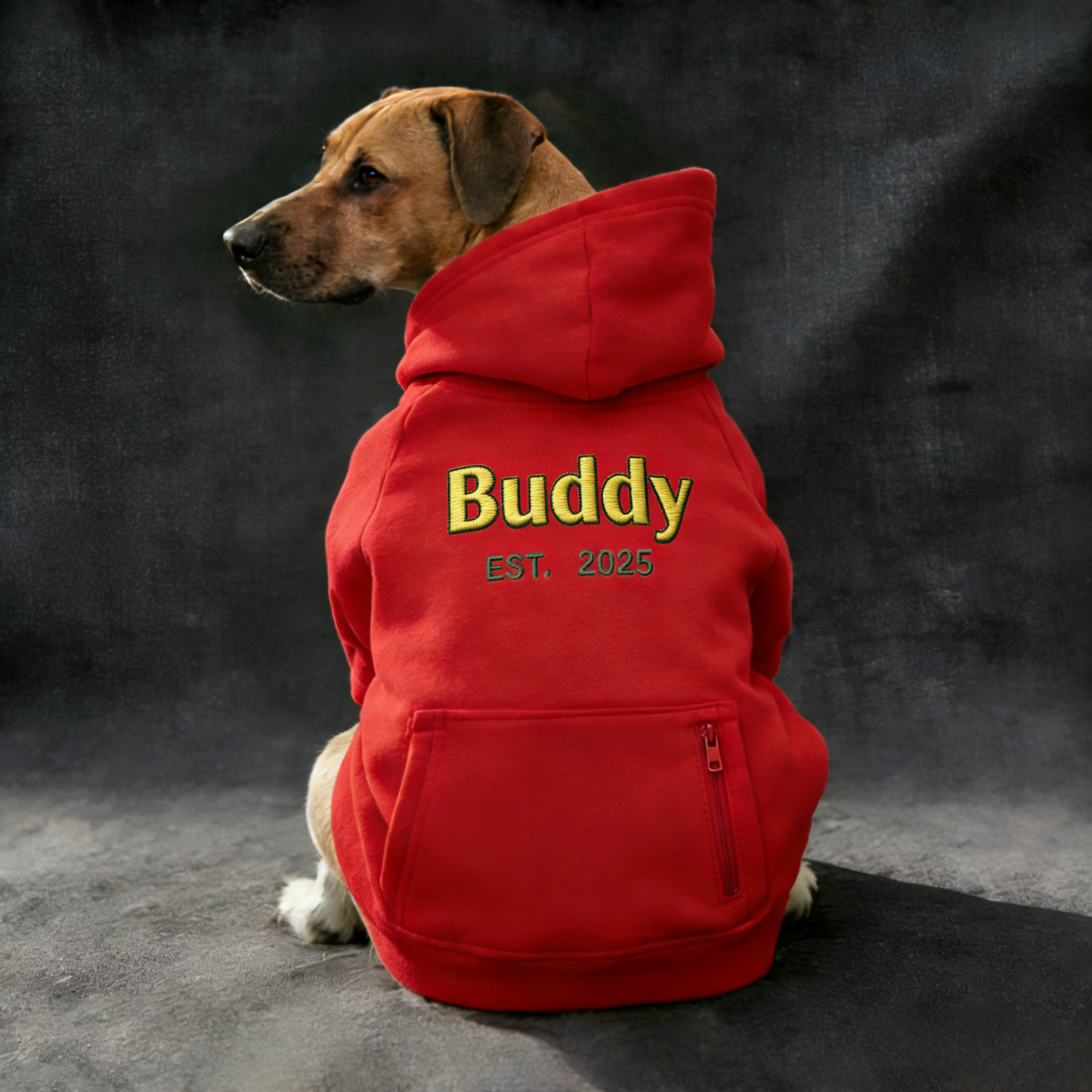 Personalized Embroidered Large Size Puppy Hoodie | BKPet412