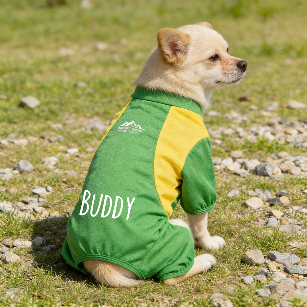 Personalized All-season Large Size  Puppy Shirt | BKPet413