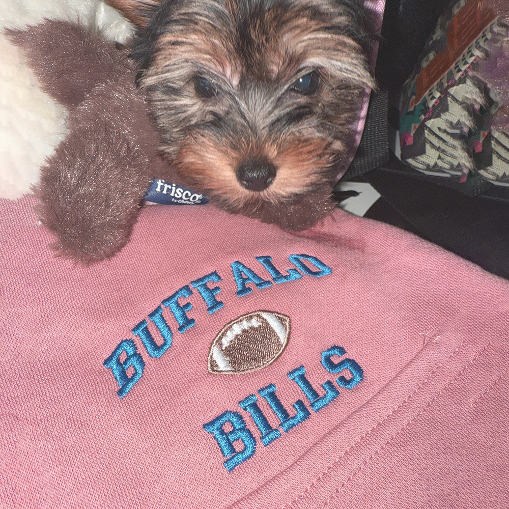 Personalized Embroidered Pet Pet Team Jersey | BKPet417