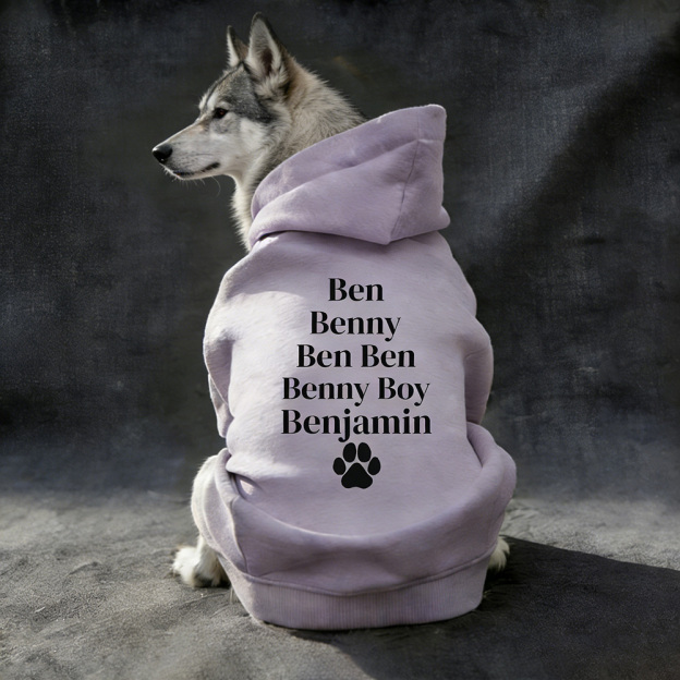 Personalized Pet Cozy Nickname Hoodie | BKPet418