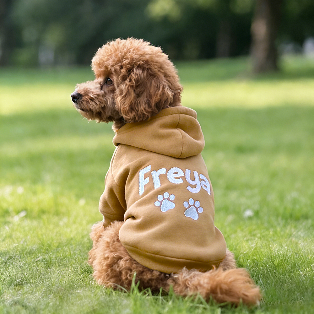 Personalized Embroidered Pet Comfortable Soft Hoodie | BKPet419
