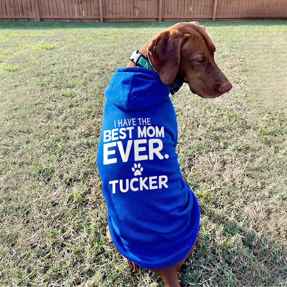 Personalized I Have the Best Mom Ever Pet Soft Hoodie | BKPet430