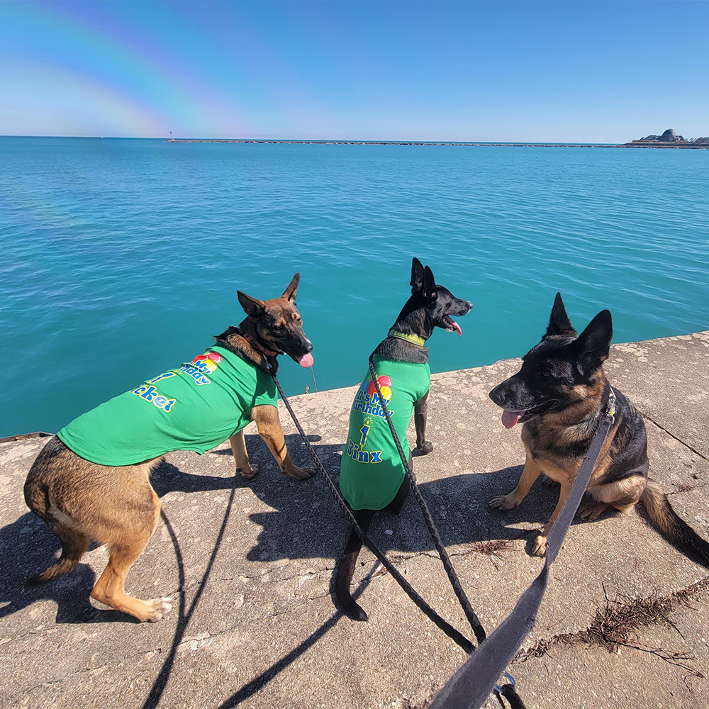 Personalized It’s My Birthday Pet Shirt | BKPet449