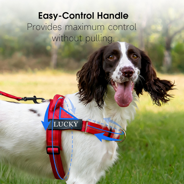 Personalized Embroidered Dog Harness & Leash Set | BKPet462