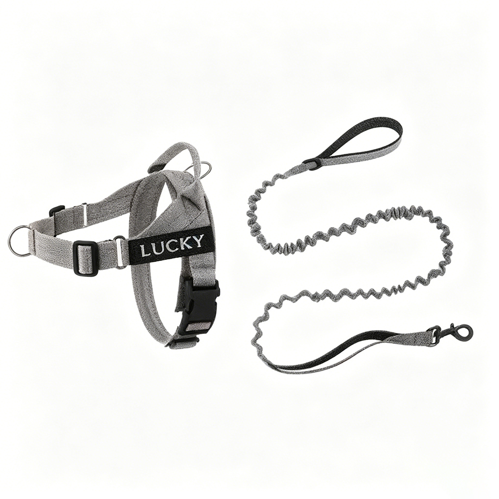 Personalized Embroidered Dog Harness & Leash Set | BKPet462