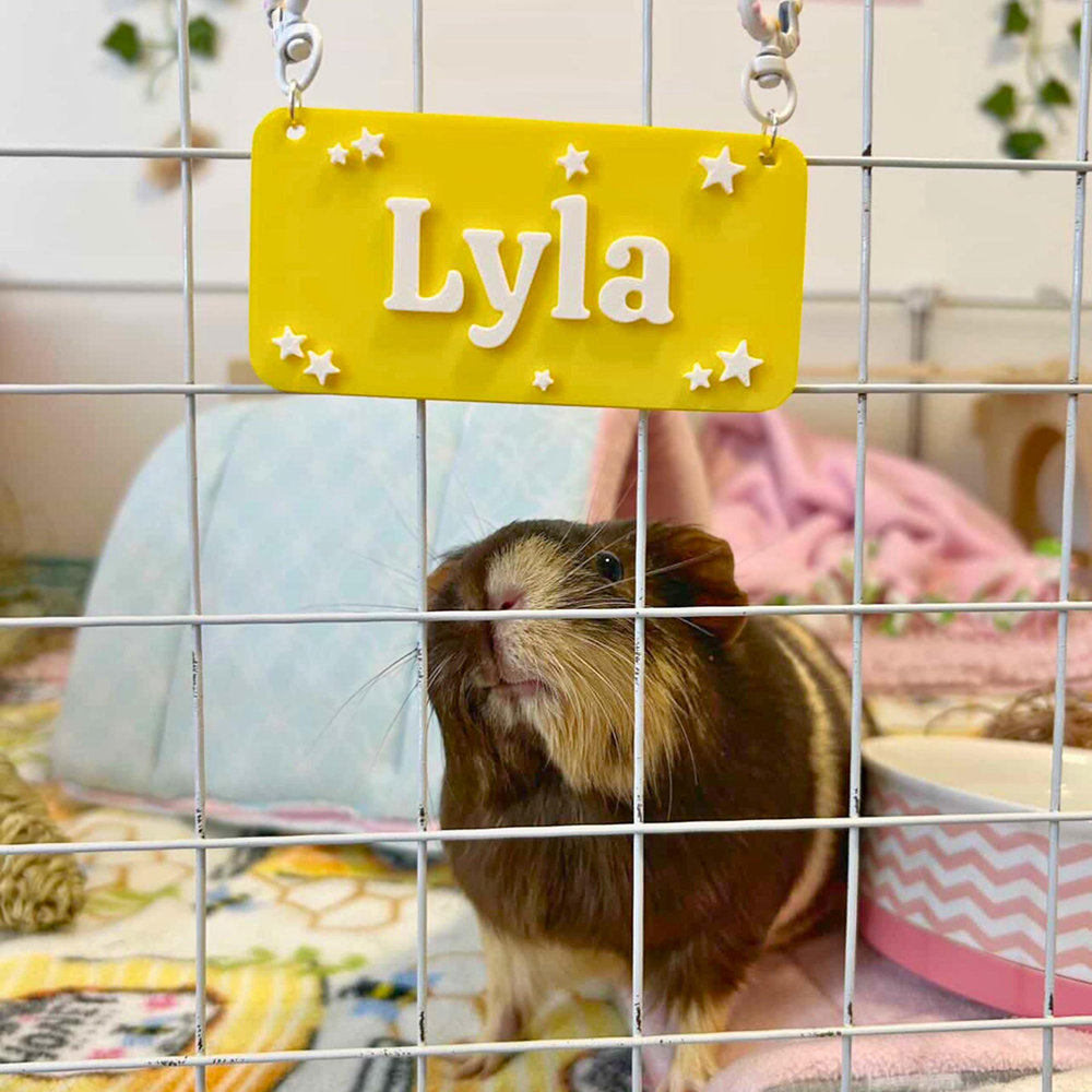 Personalized 3D Printed Pet Cage Name Tag | BKPet510