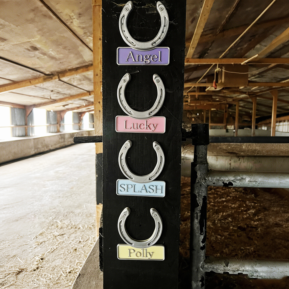 Personalized 3D Horseshoe Stable Door Name Plate | CWGift72