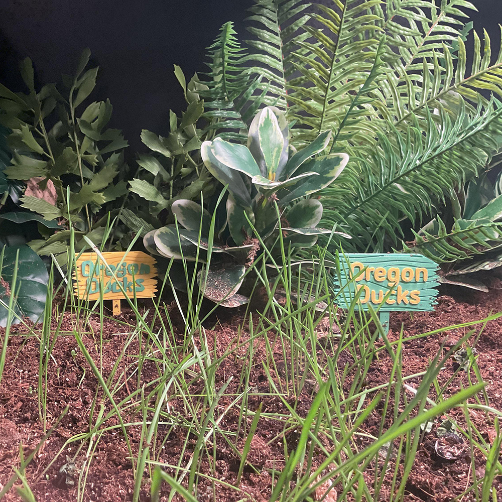Personalized 3D Printed Forest Sign for Fishtanks | CWGift92