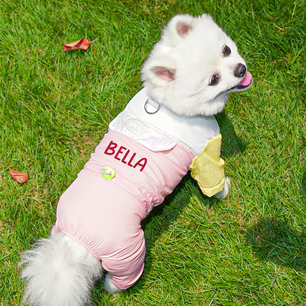 Personalized Pet Summer Cool And Breathable Shirt | BKPet563