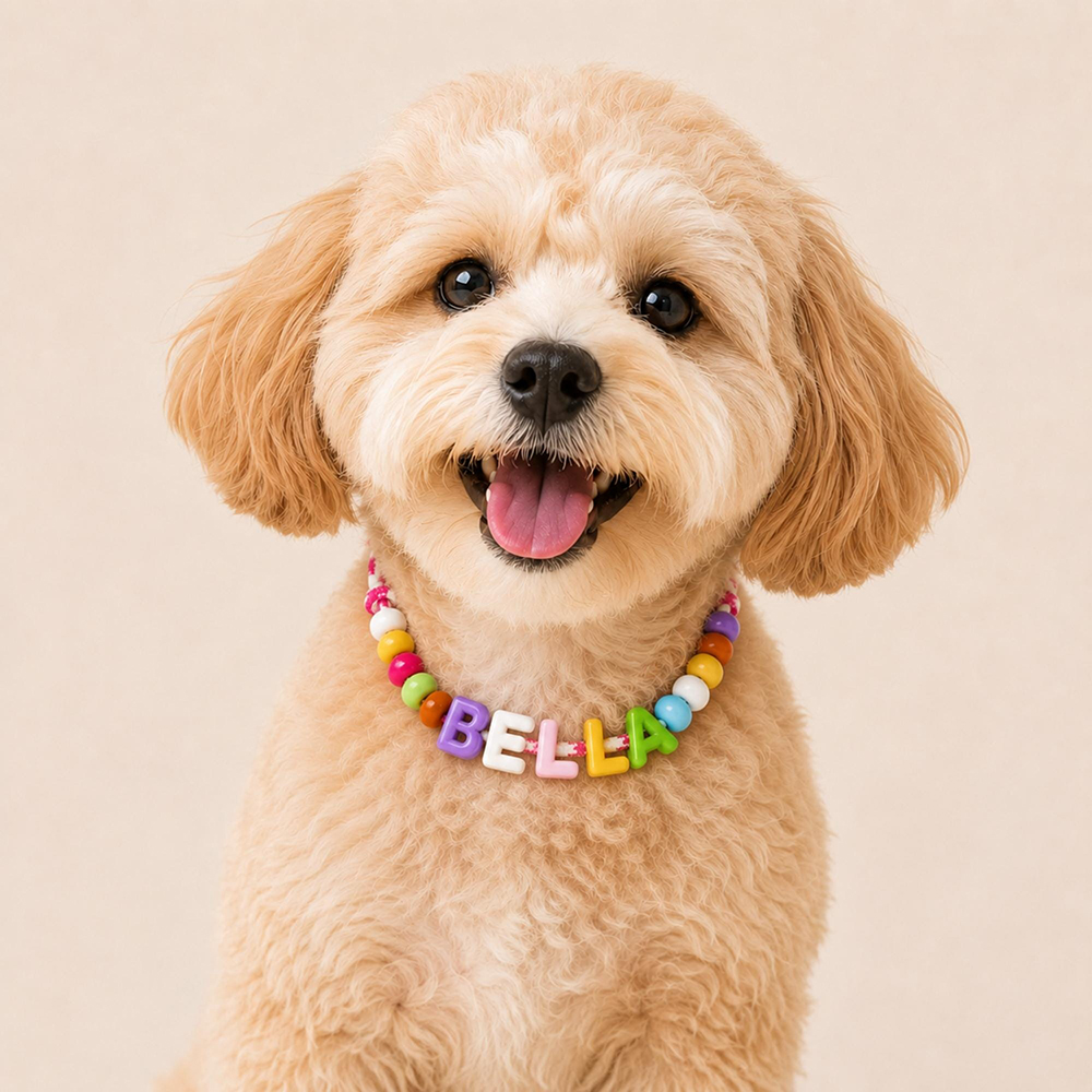 Personalized Handmade Beaded Adjustable Buckle Dog Collar | BKPet573
