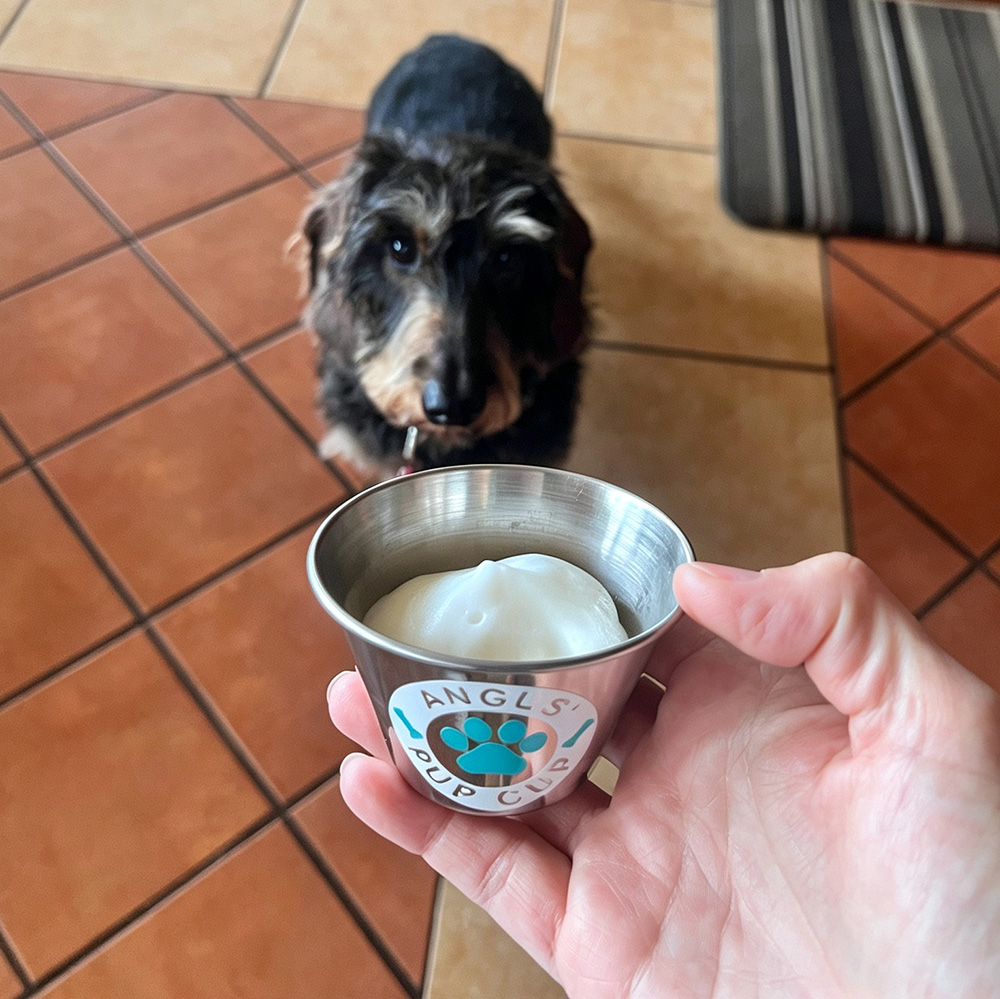Personalized Pet Stainless Steel Reusable Mini Pup Cup Mug | BKPet273
