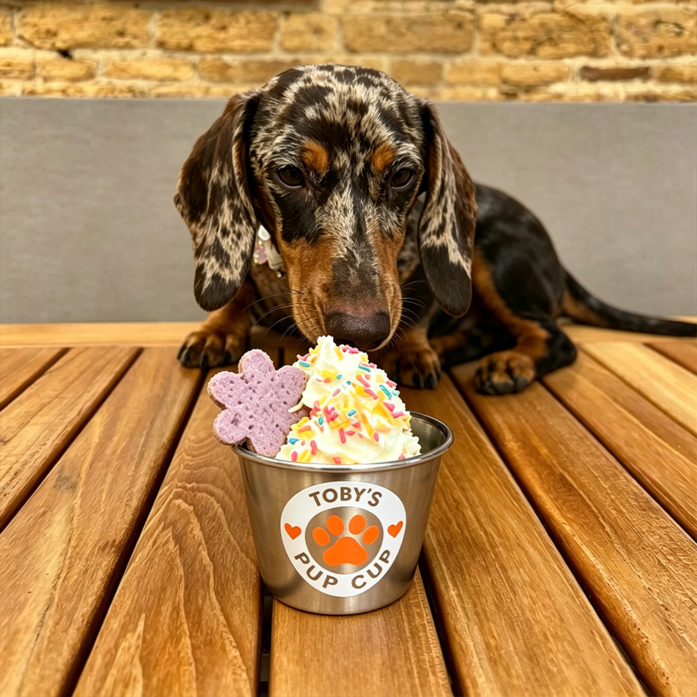 Personalized Valentine’s Day Pet Gift Pup Cup Mug | BKPet285