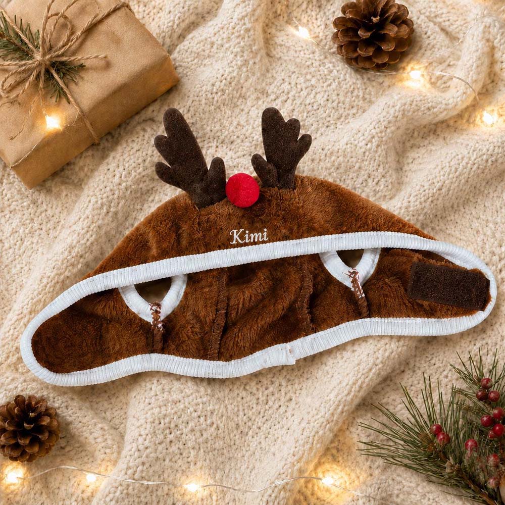 Personalized Embroidered Christmas Pets Hat | MCGift410