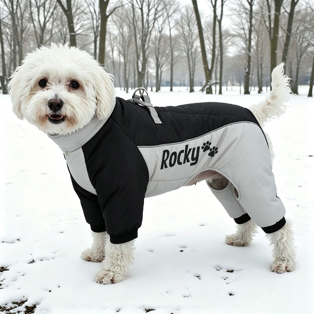 Personalized Winter Color-Blocked Cotton Coats For Pets | BKPet599