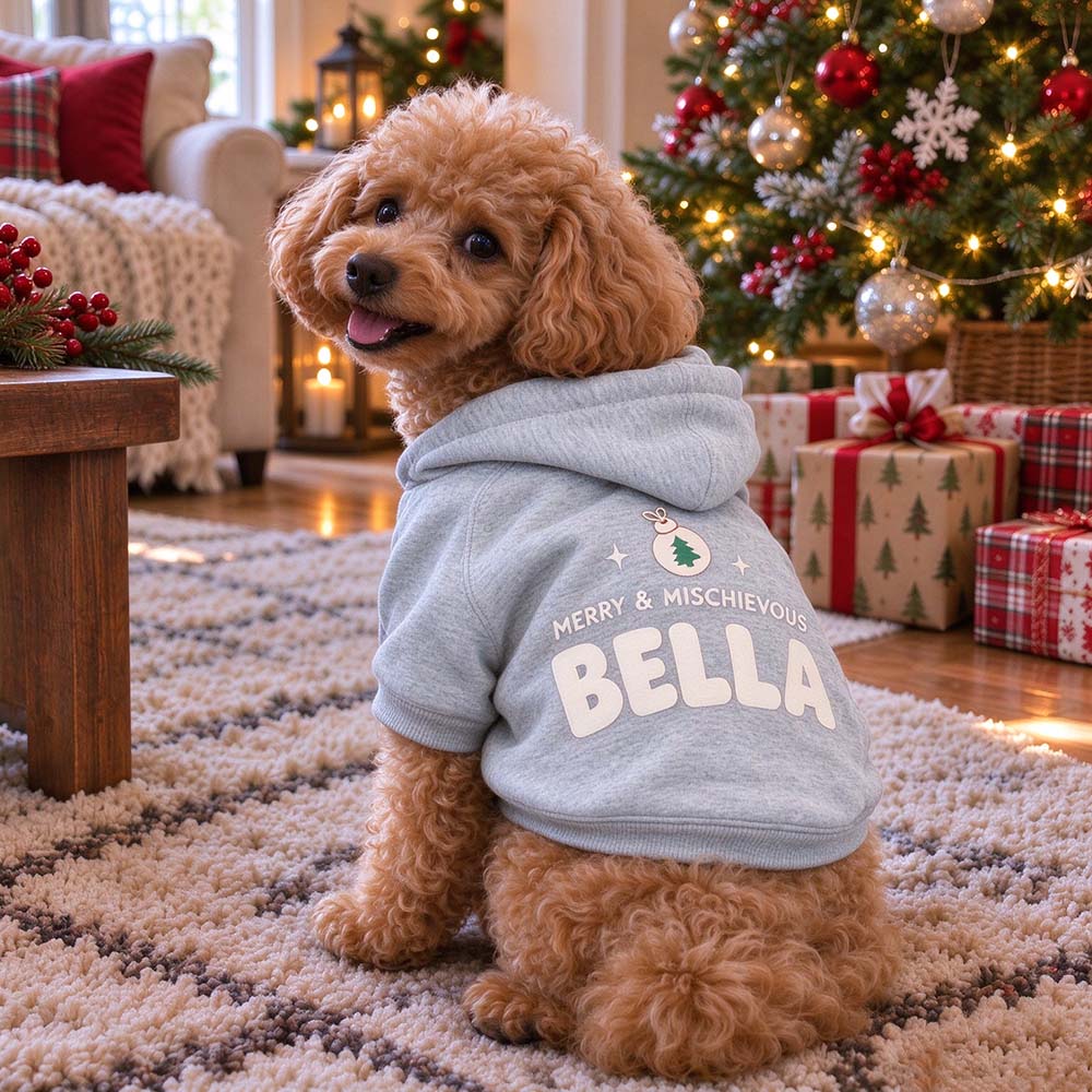Personalized Christmas Pets Merry & Mischievous Hoodie | MCGift435