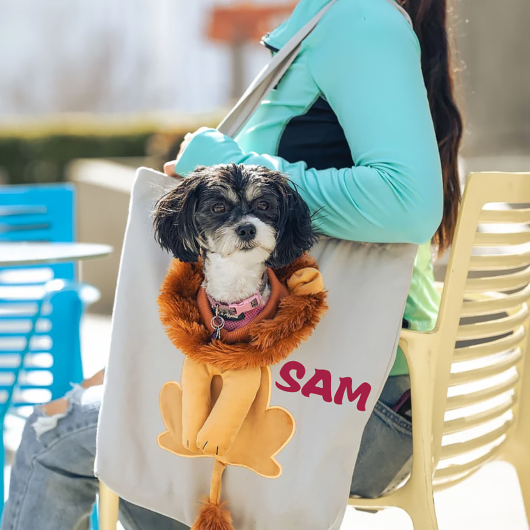 Personalized Lion Design Portable Breathable Cute Pet Carriers | BKPet60