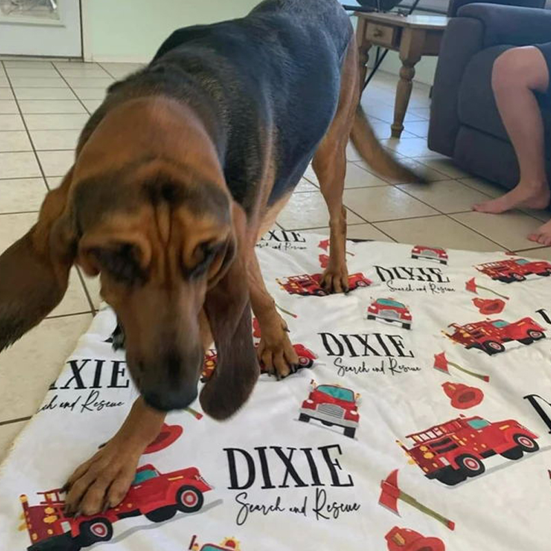 Personalized Lovely Kid Blanket for Comfort & Unique | BKKid123