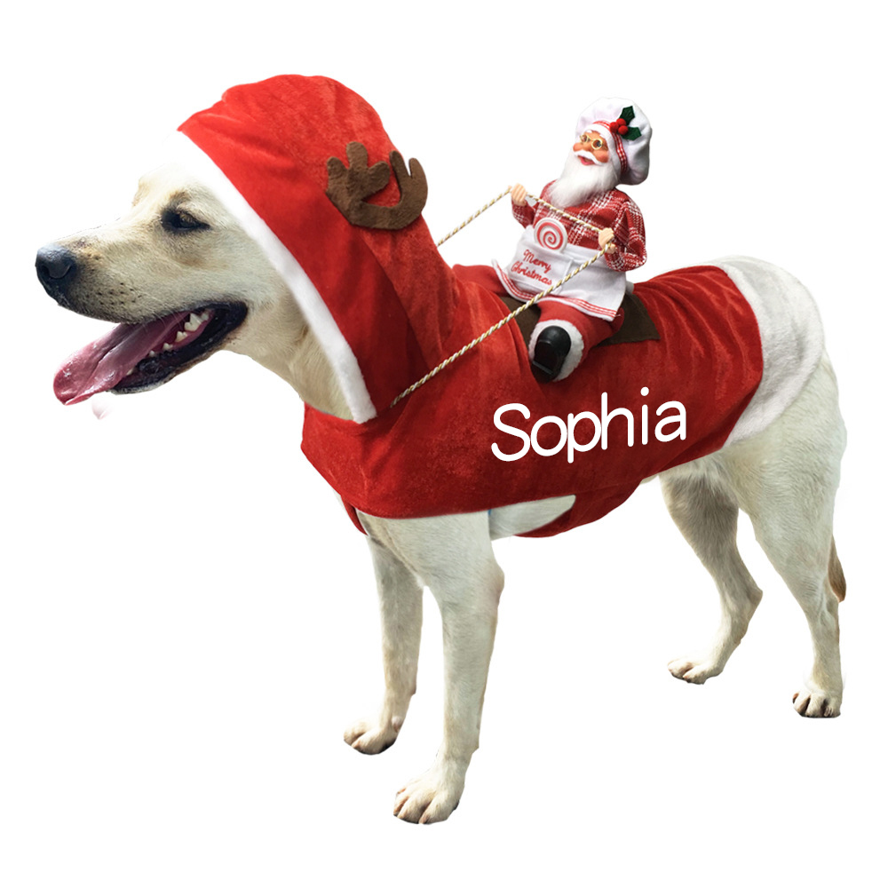 Personalized Christmas Santa Pet Riding Clothes | BKPet96