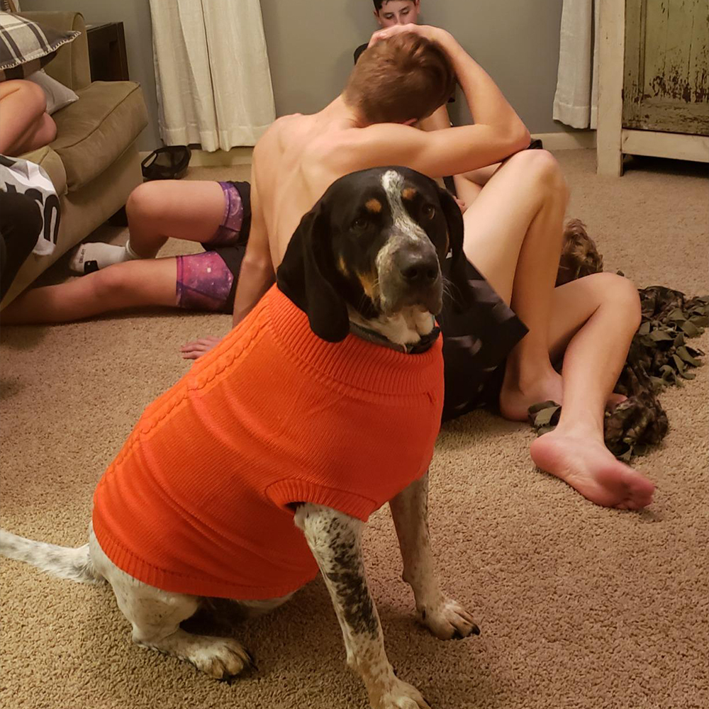 Personalized Leather Patch Pets Colourful Sweater | BKPet97