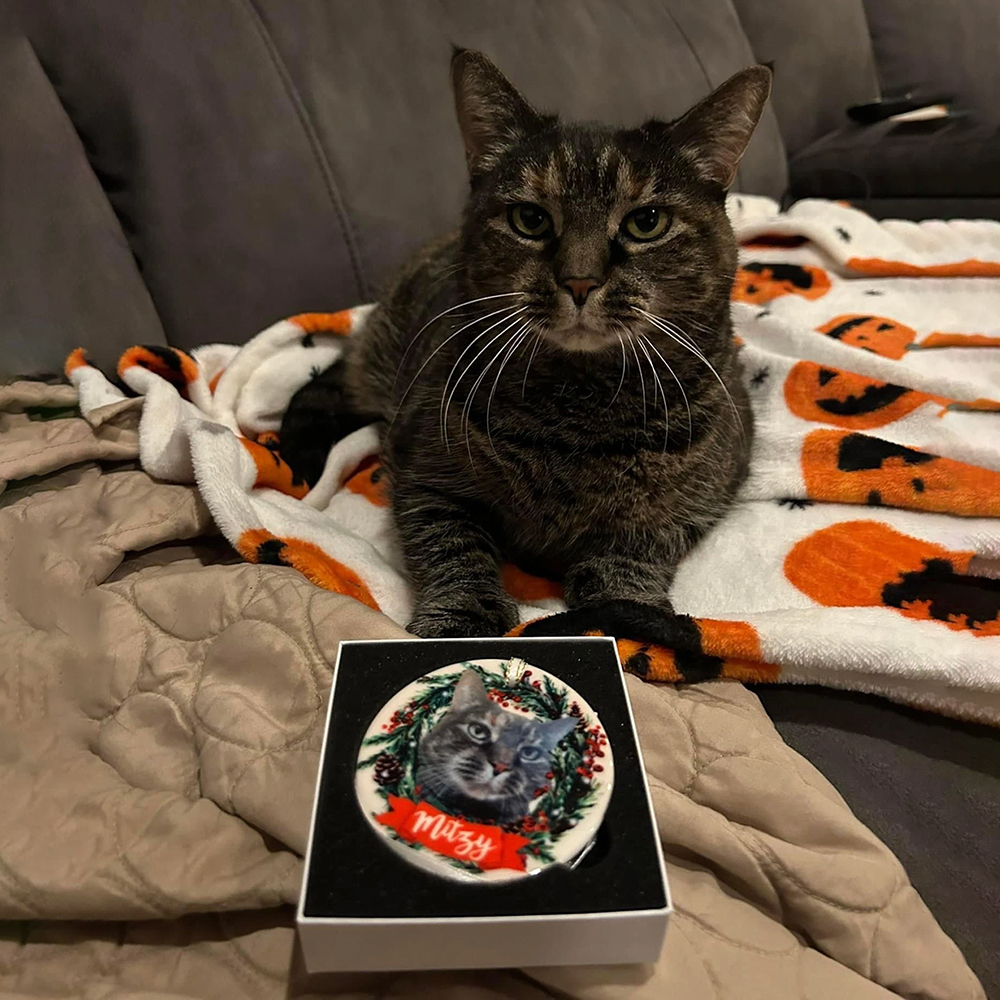 Personalized Pet Christmas Garland Ornaments Decoration | MCGift5715