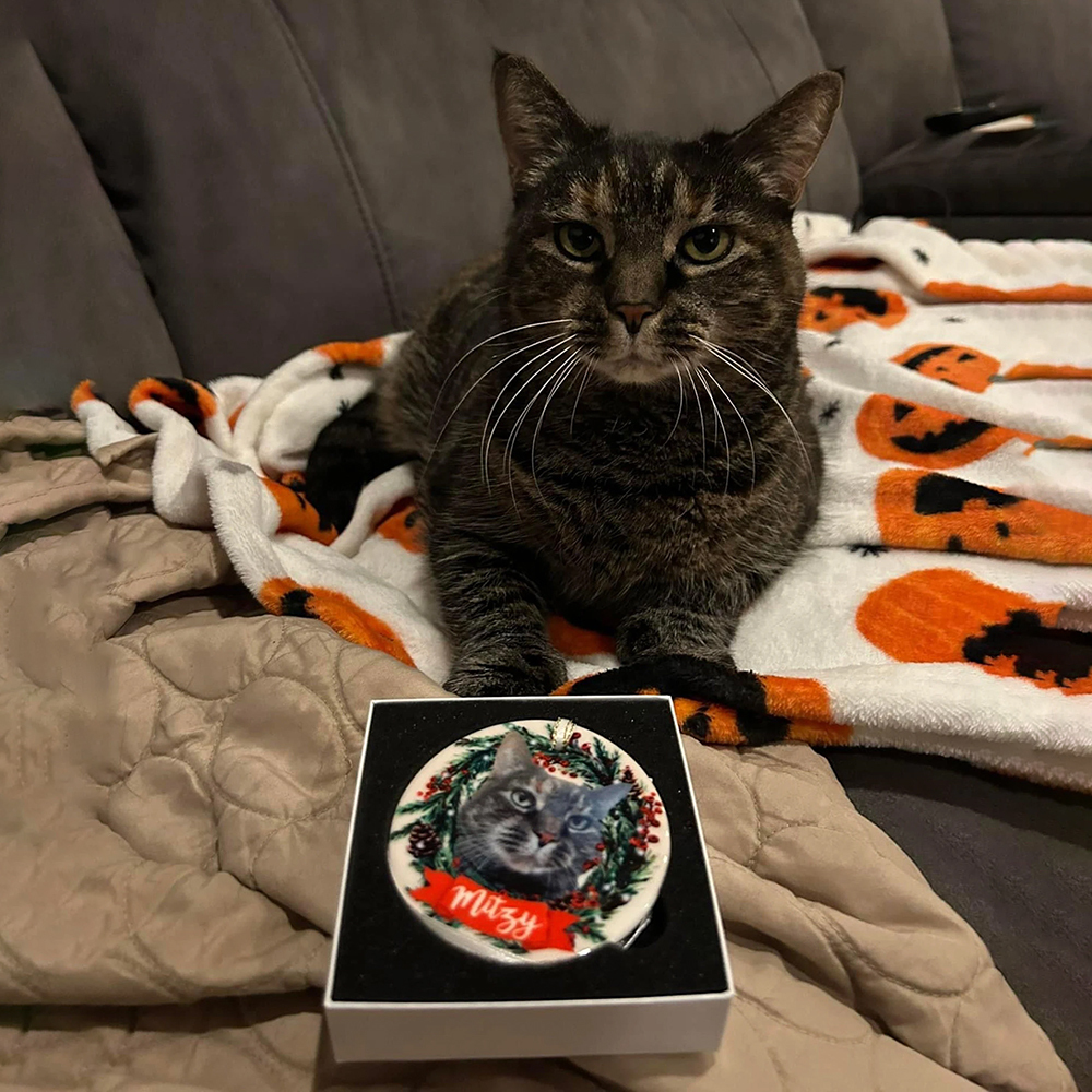 Personalized Pet Christmas Garland Ornaments Decoration | MCGift5715