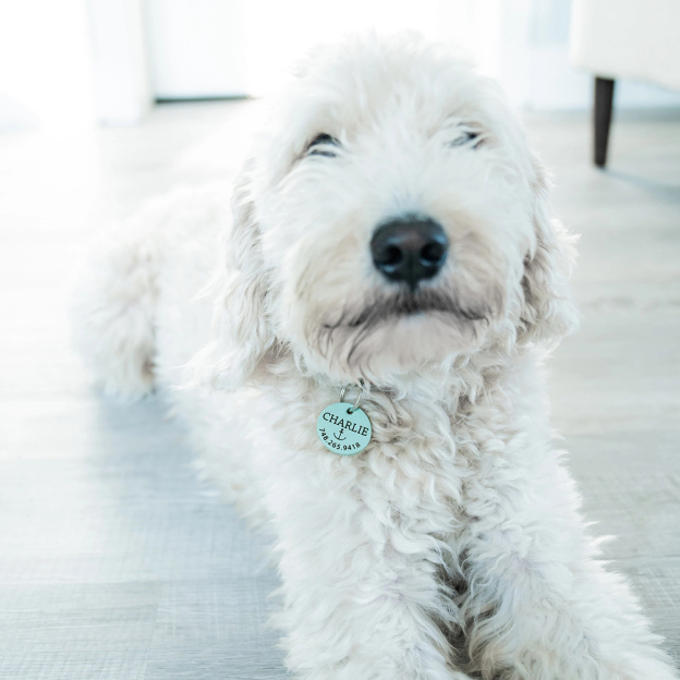 Personalized Handmade Silent Leather Pet ID Tag | BKPet145